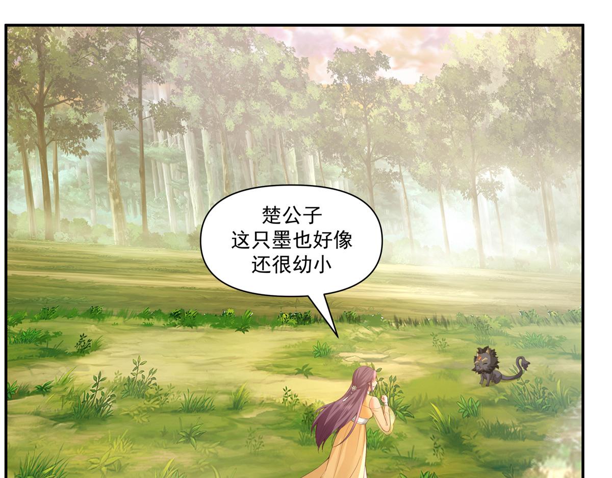 74 森林湖44