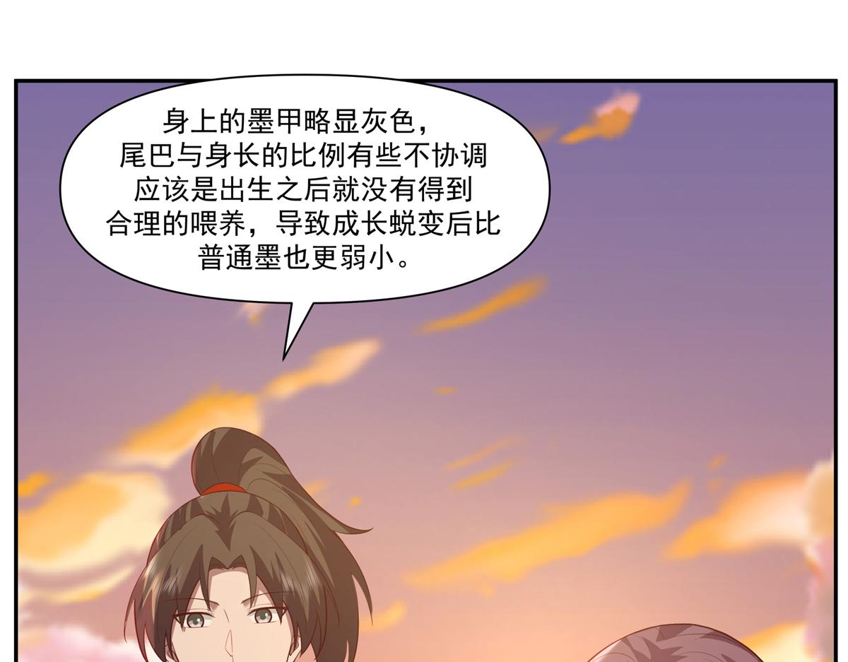 74 森林湖47