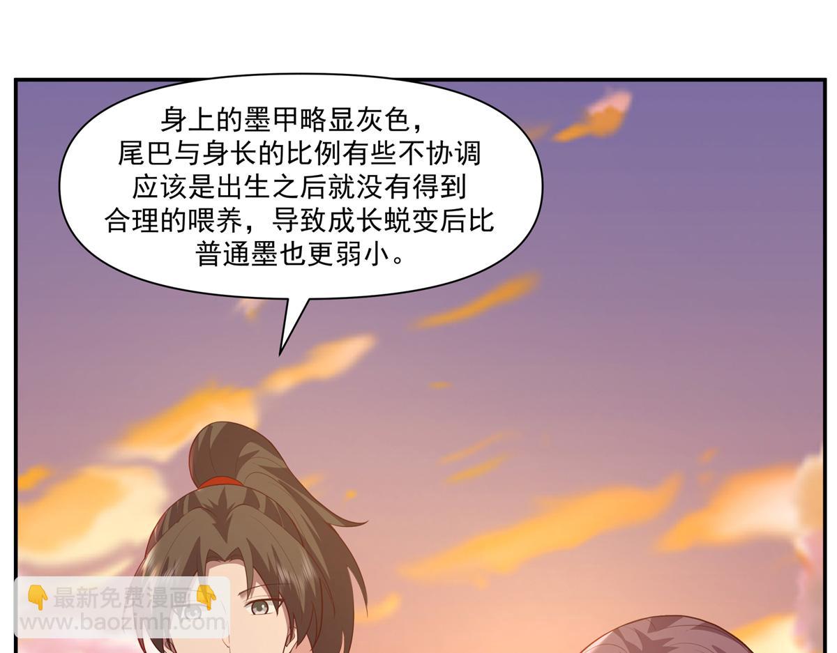 74 森林湖51
