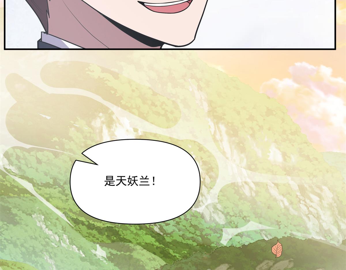 74 森林湖70