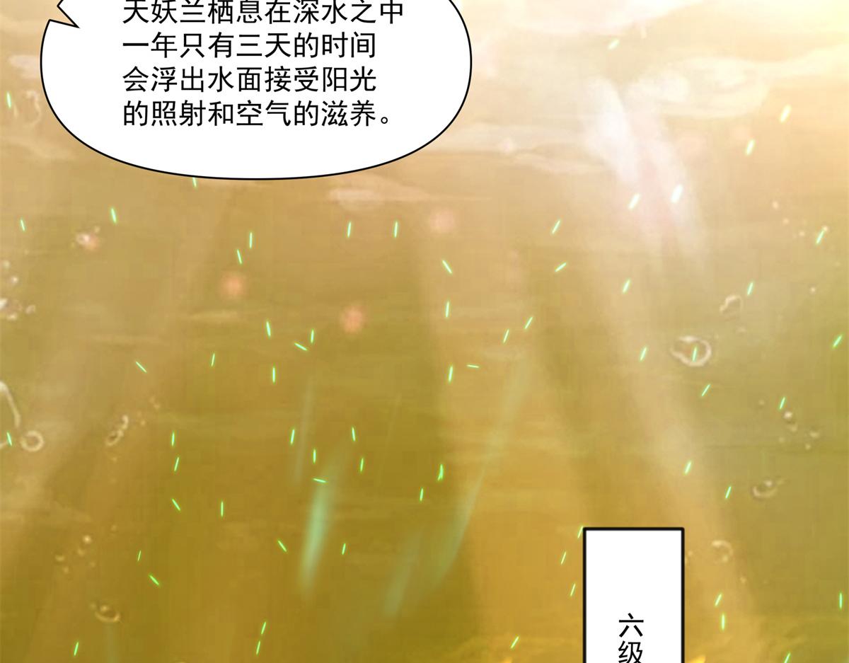 74 森林湖73