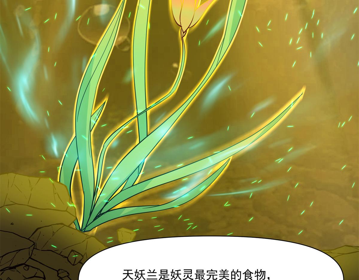 74 森林湖75
