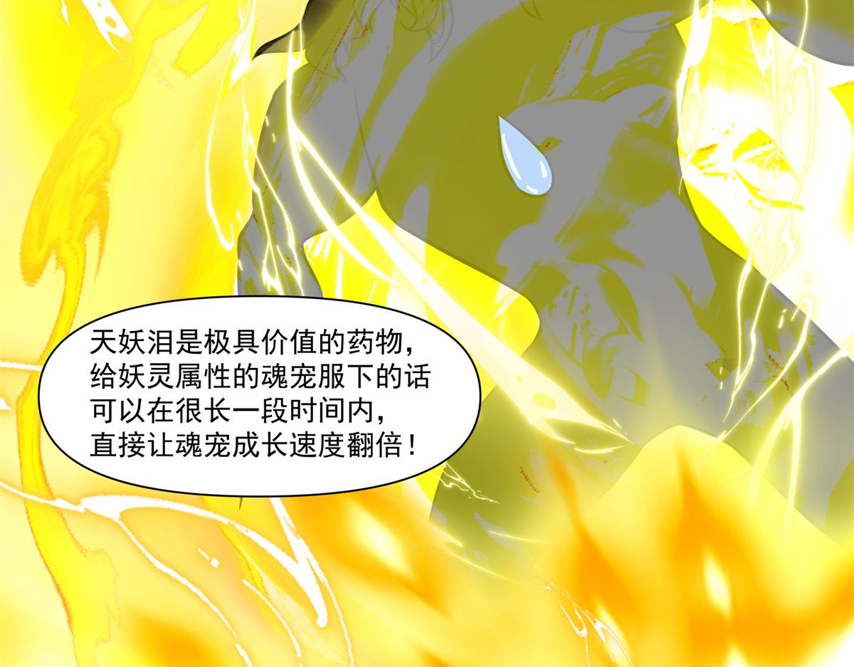 74 森林湖82