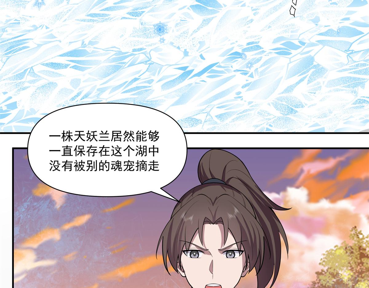 74 森林湖96