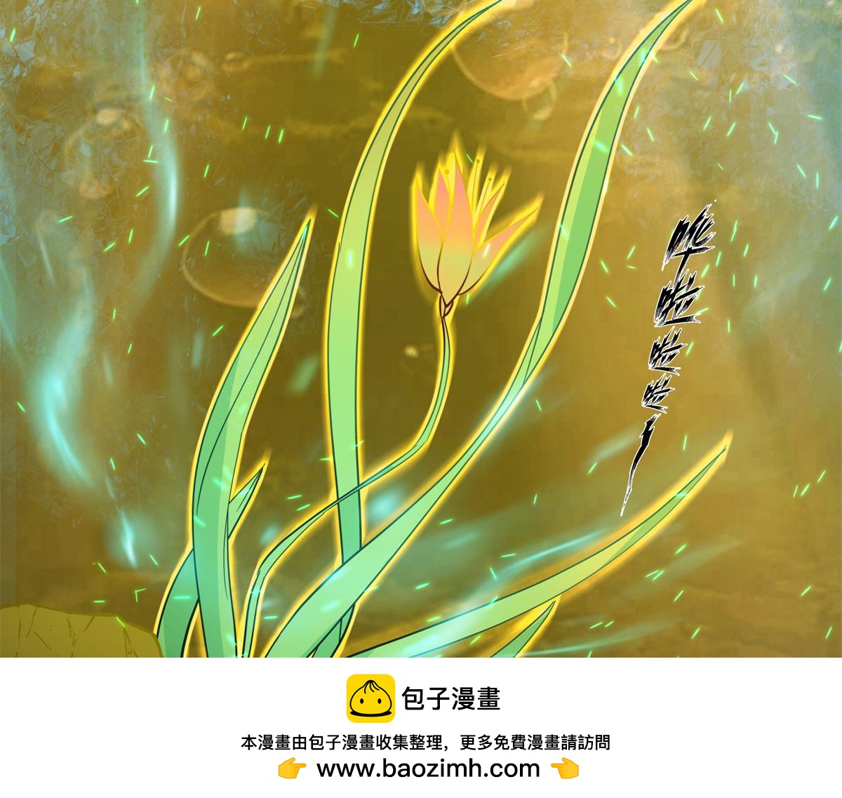 74 森林湖99