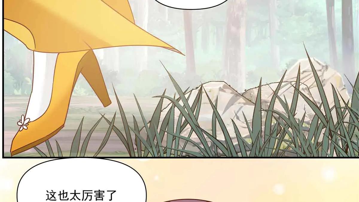 76 楚家会议13