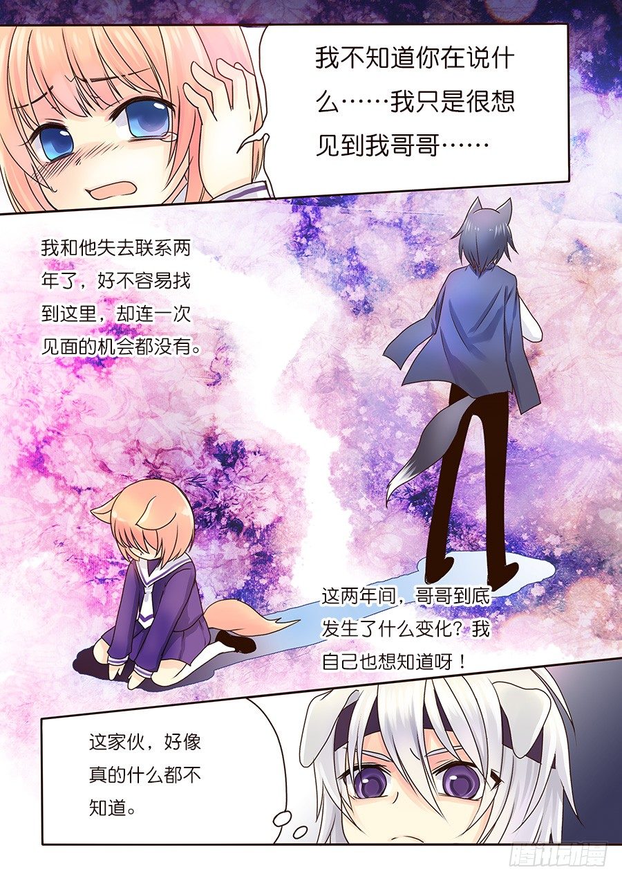 狐狸和狗，剑拔弩张？！0