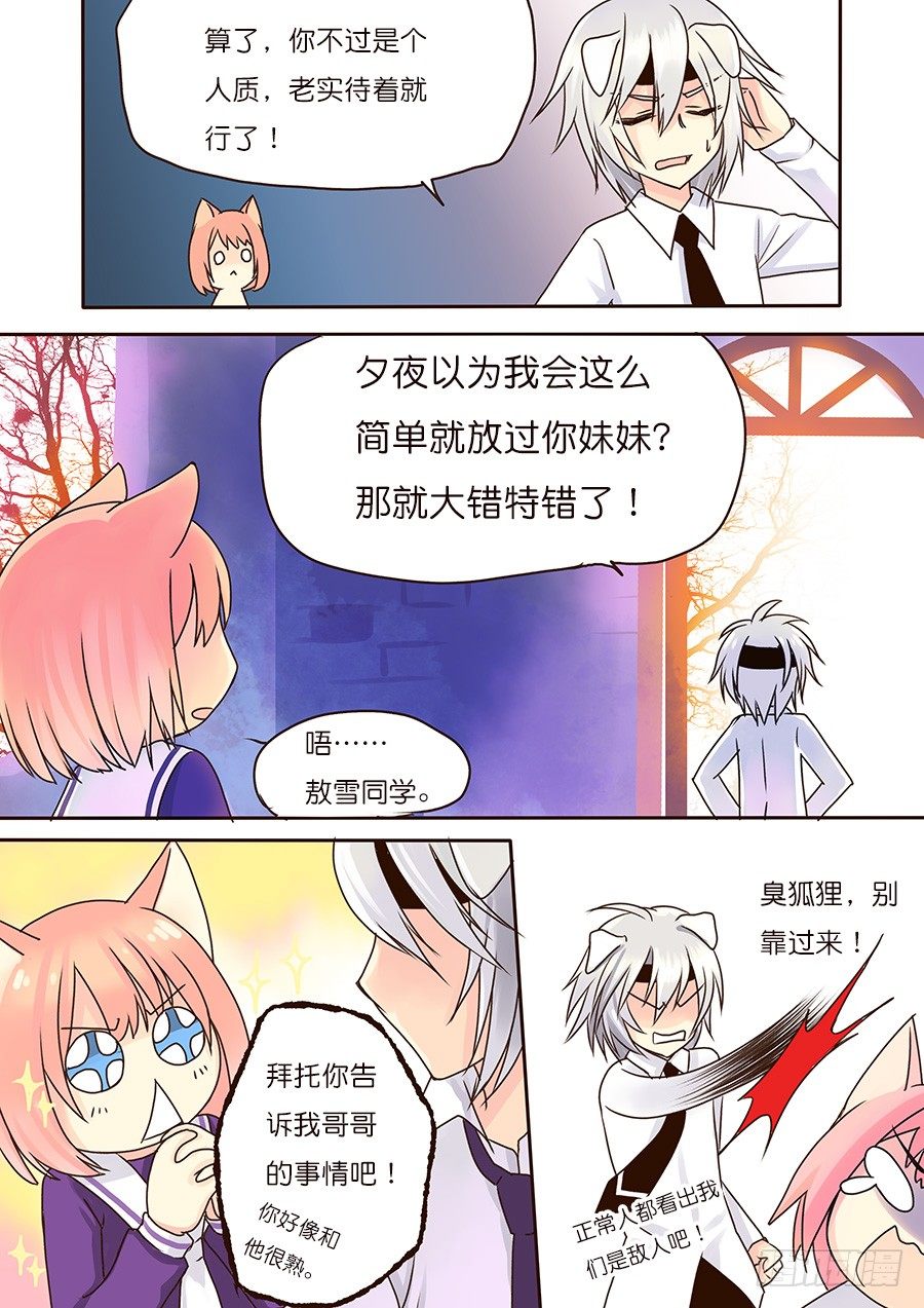 狐狸和狗，剑拔弩张？！1