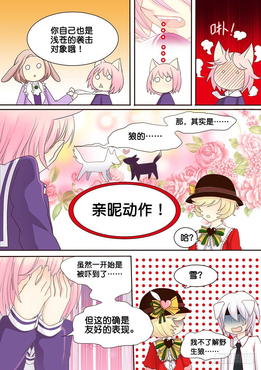 真相5