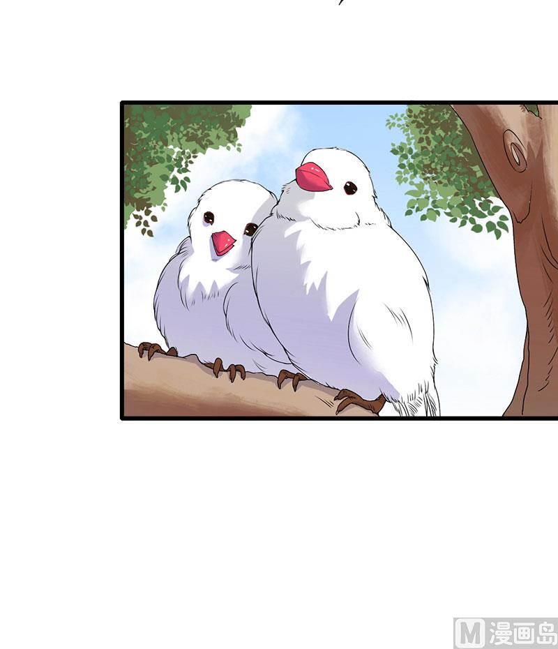 第33话 这算哪门子考察？24