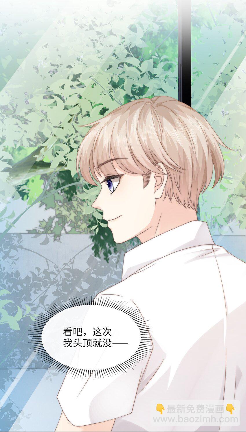 004 它黄了48