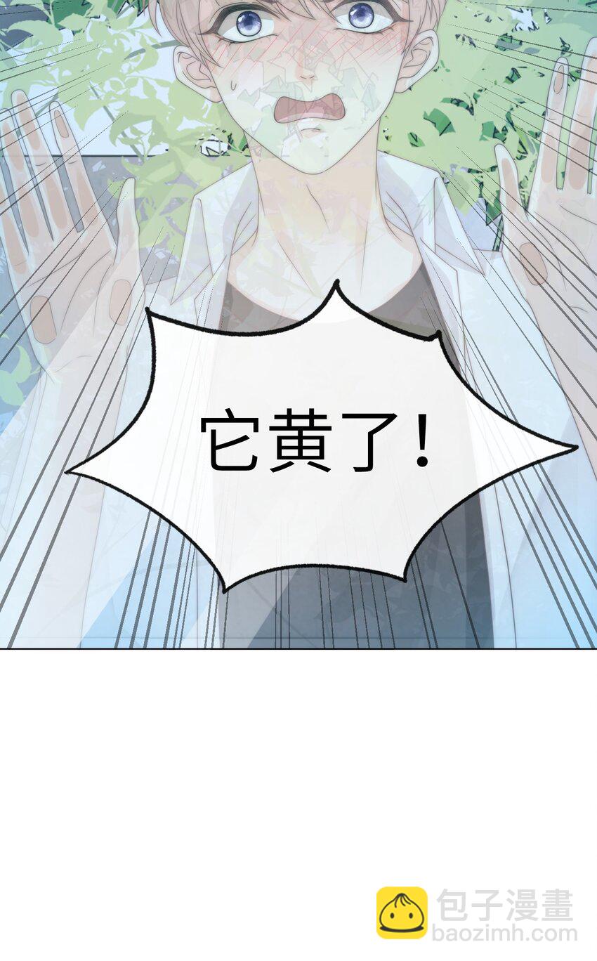 004 它黄了54