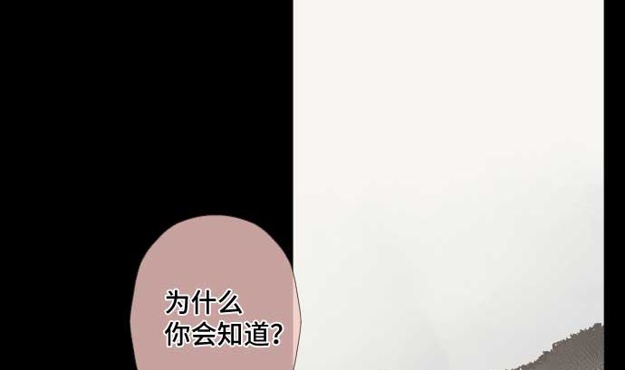 第44话 笑容的背后1