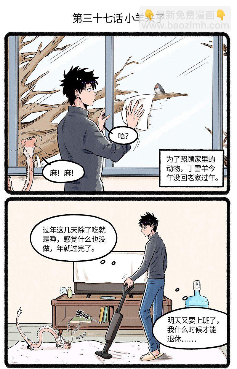 037 小羊来了1