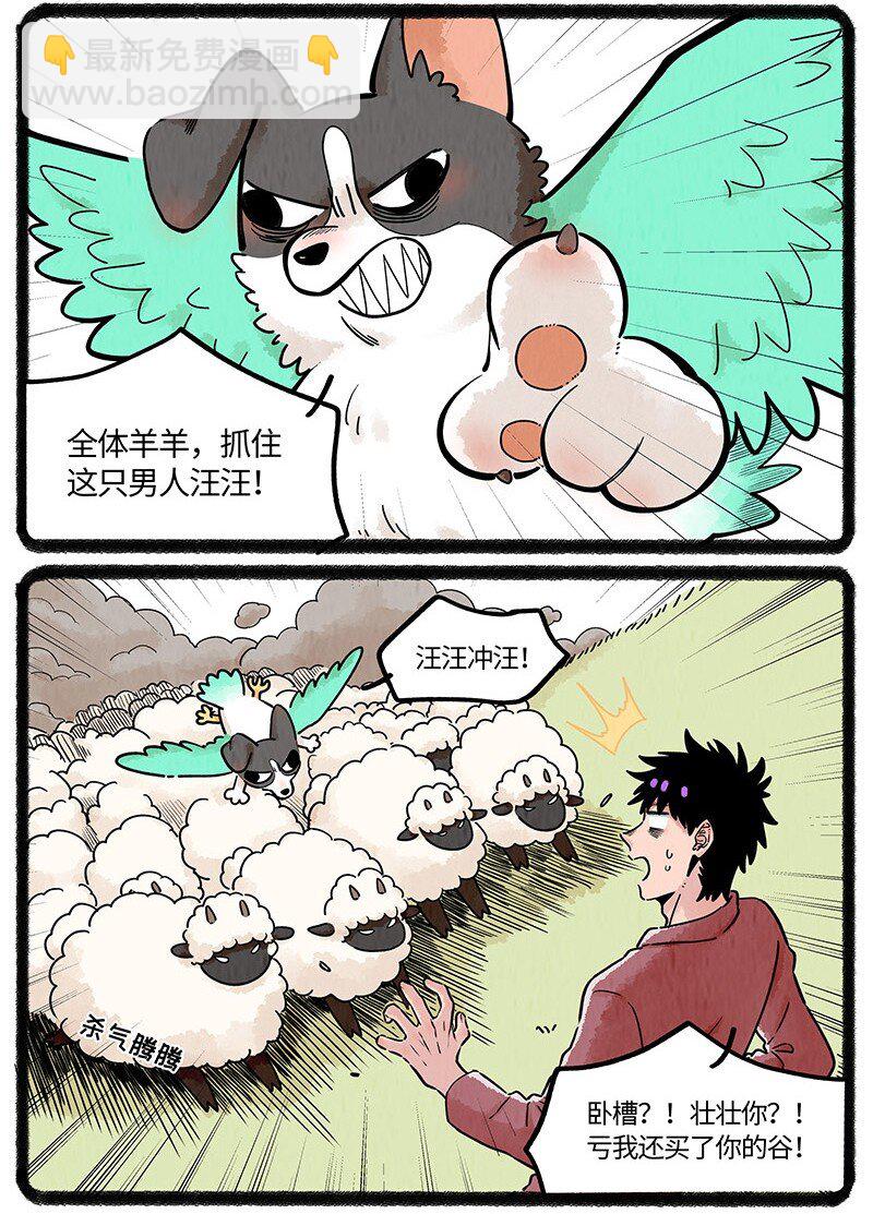 037 小羊来了12