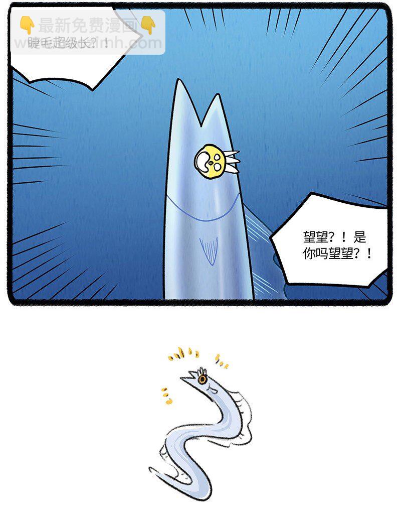 057 小羊在唱歌19