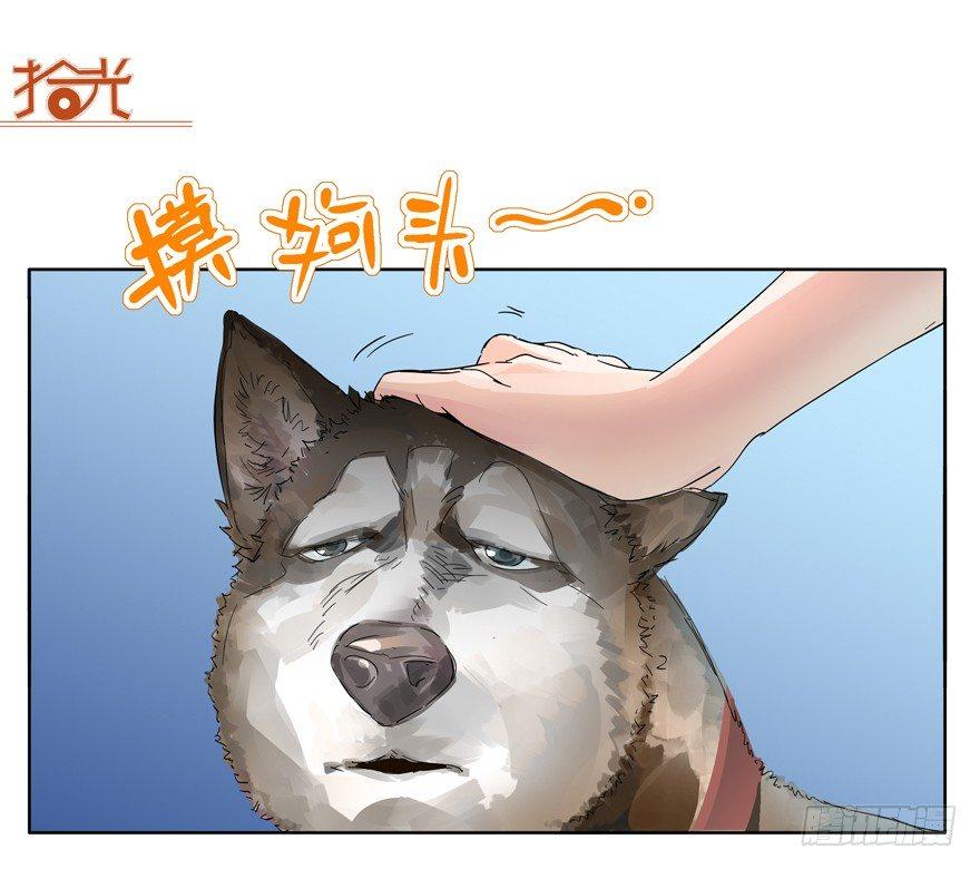 我养你，你养狗23