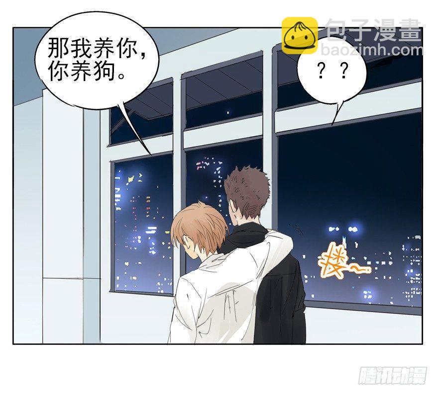 我养你，你养狗30