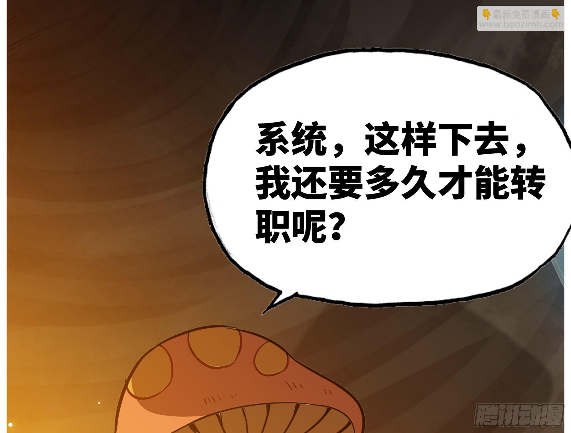17- 进化路线31
