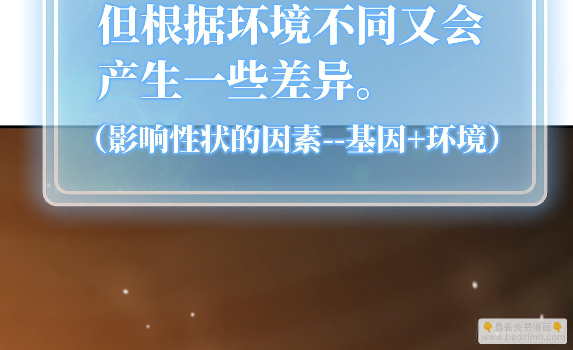 17- 进化路线39
