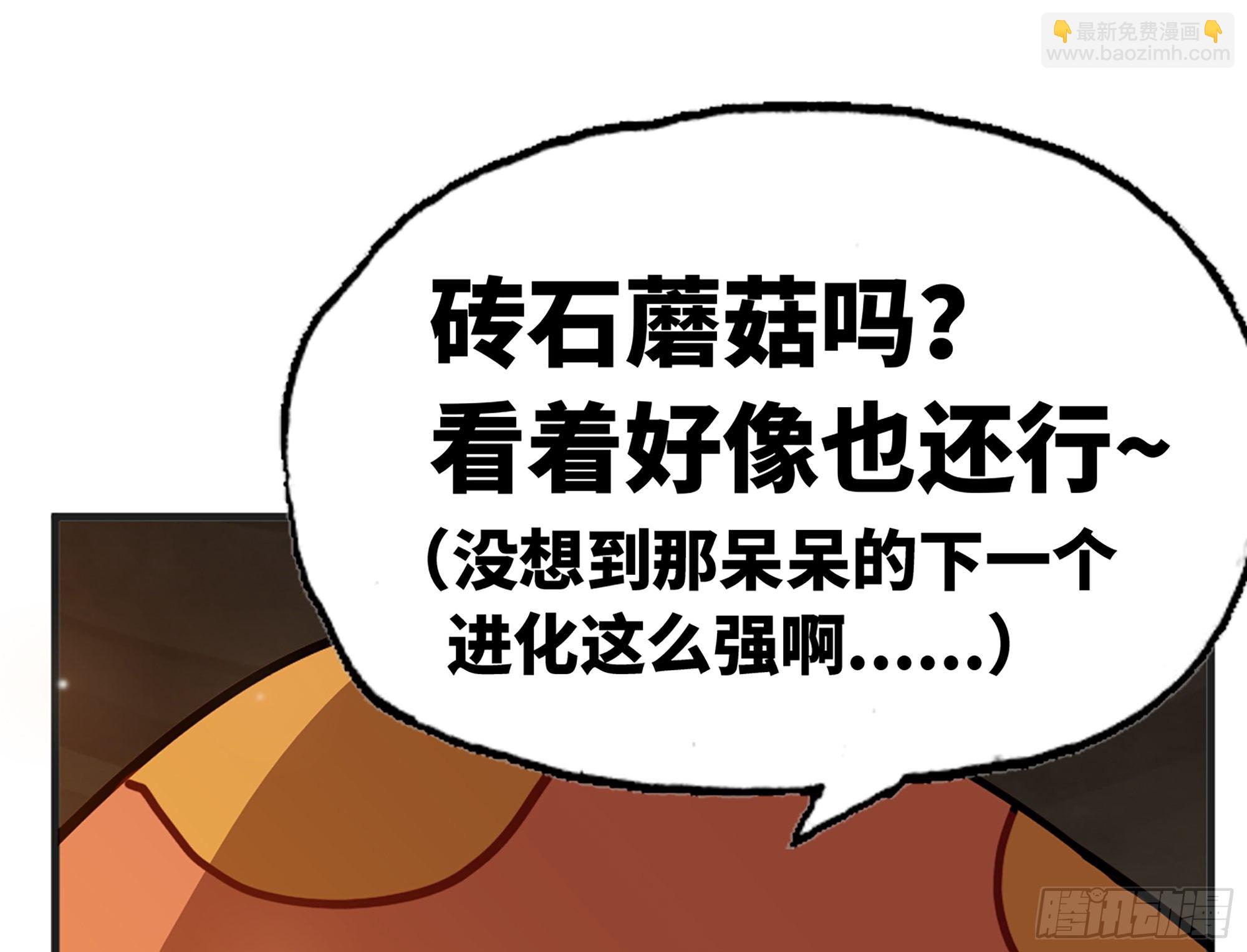17- 进化路线69