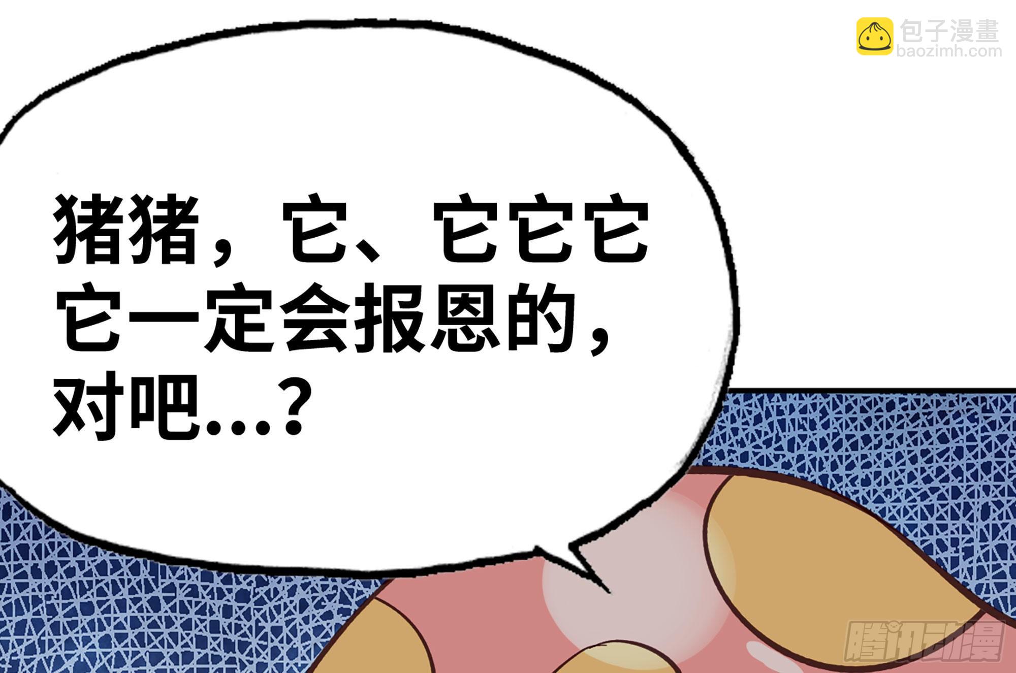 22- 鸟的报恩？116