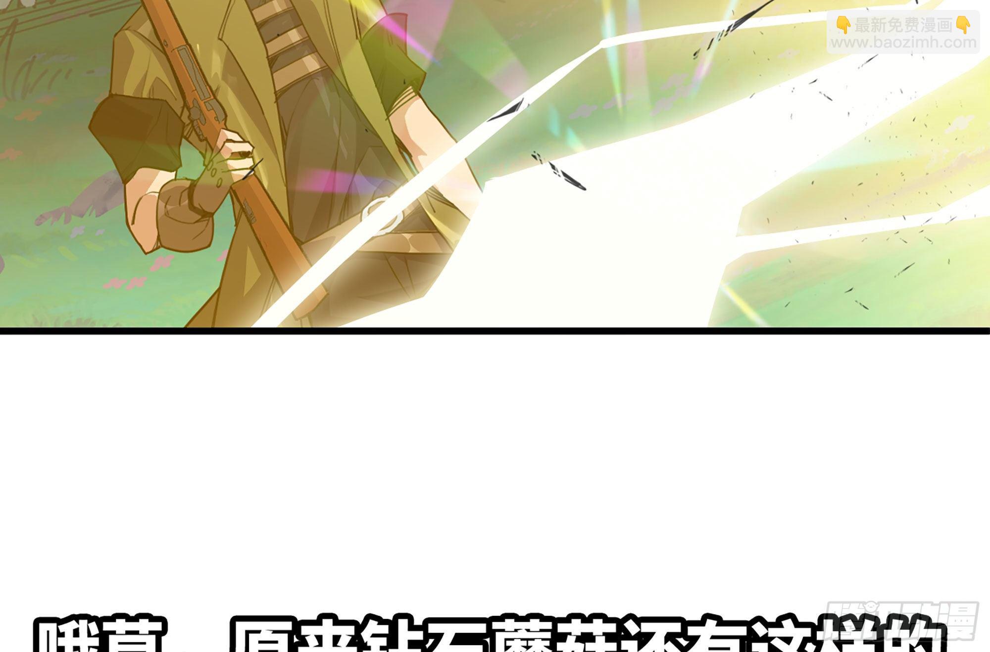 30- 钻石蘑菇161