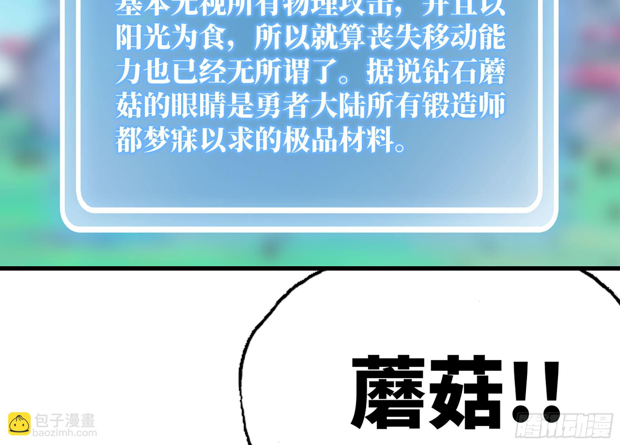 30- 钻石蘑菇63