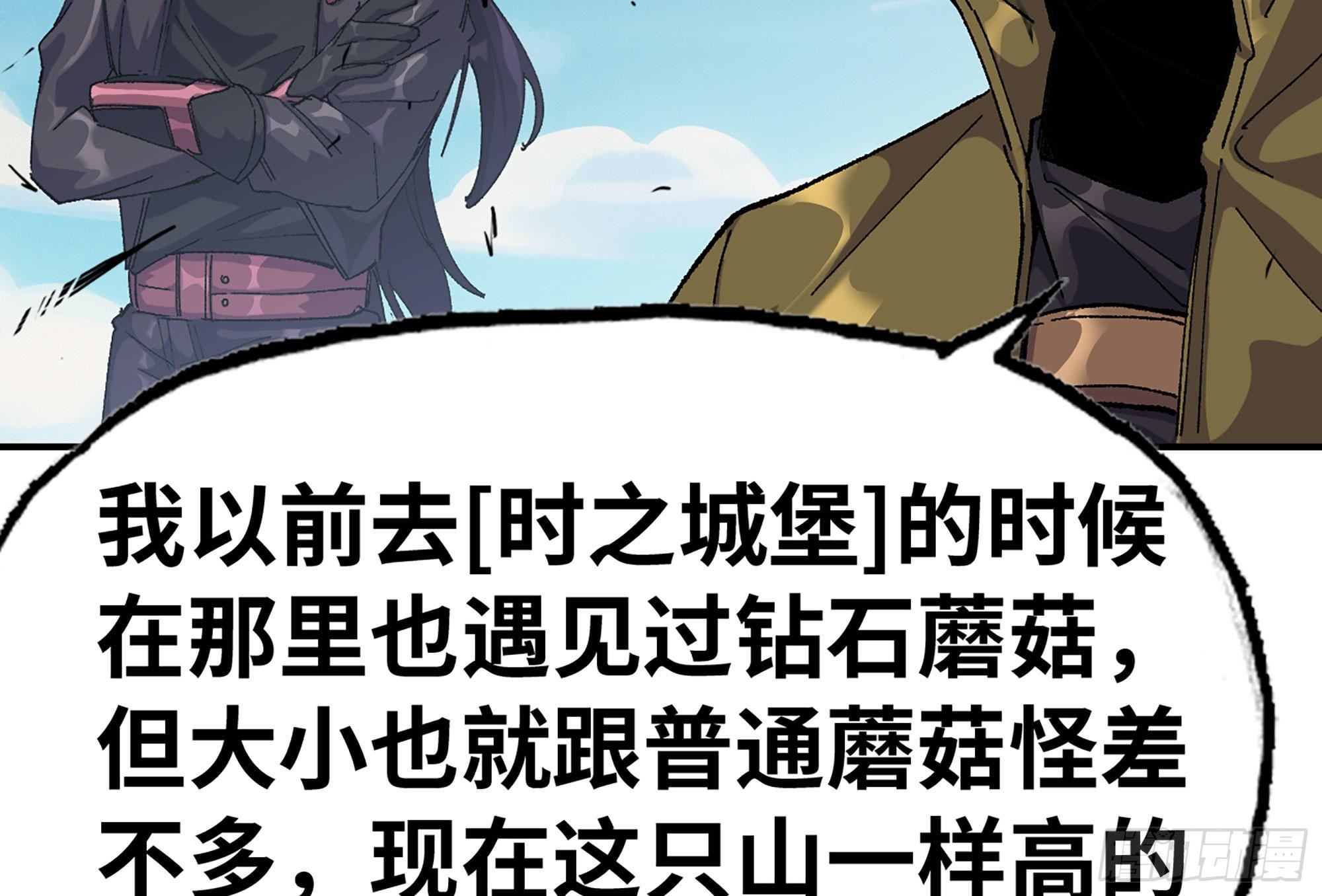 30- 钻石蘑菇87