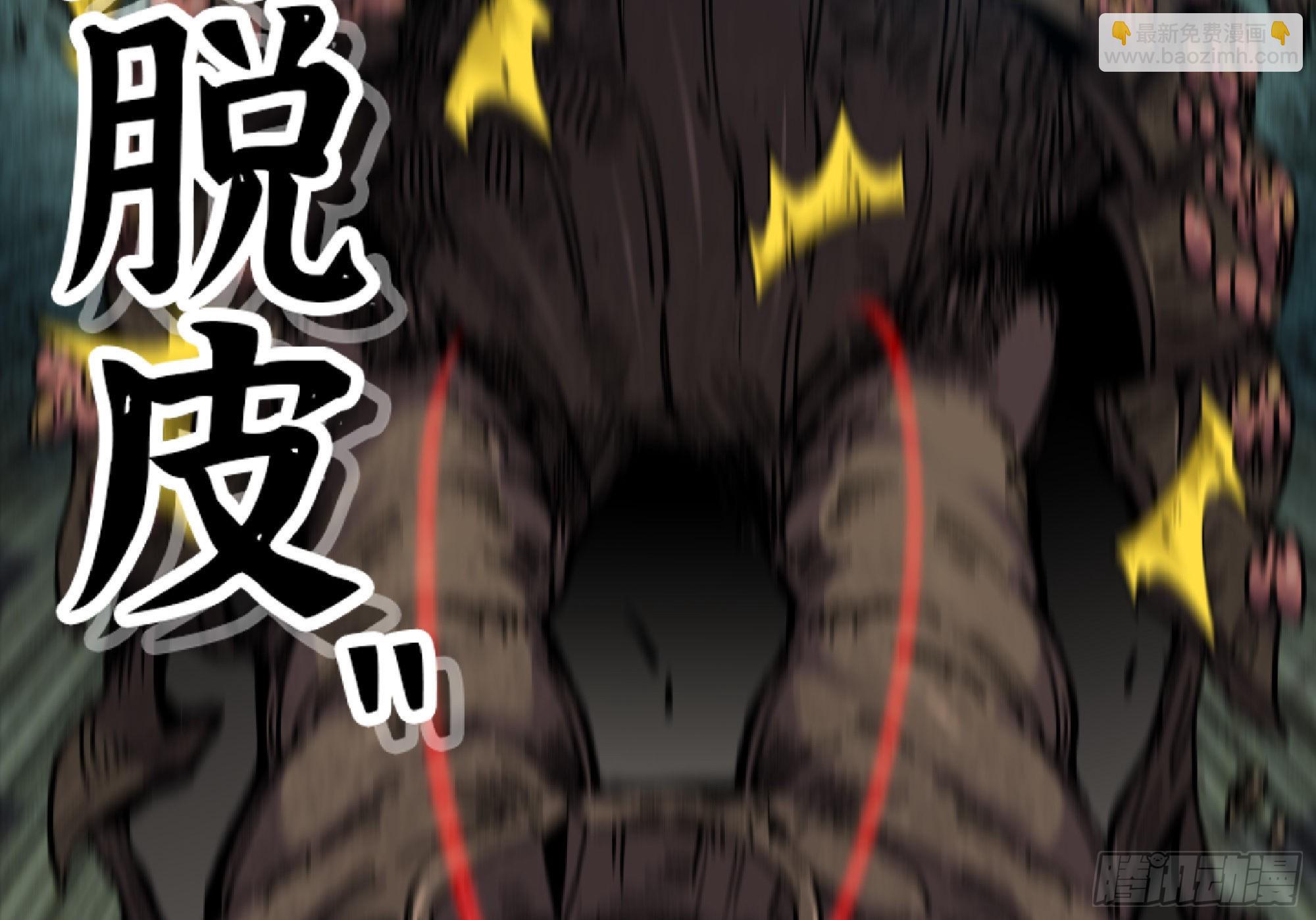 56 猪猪猪猪135