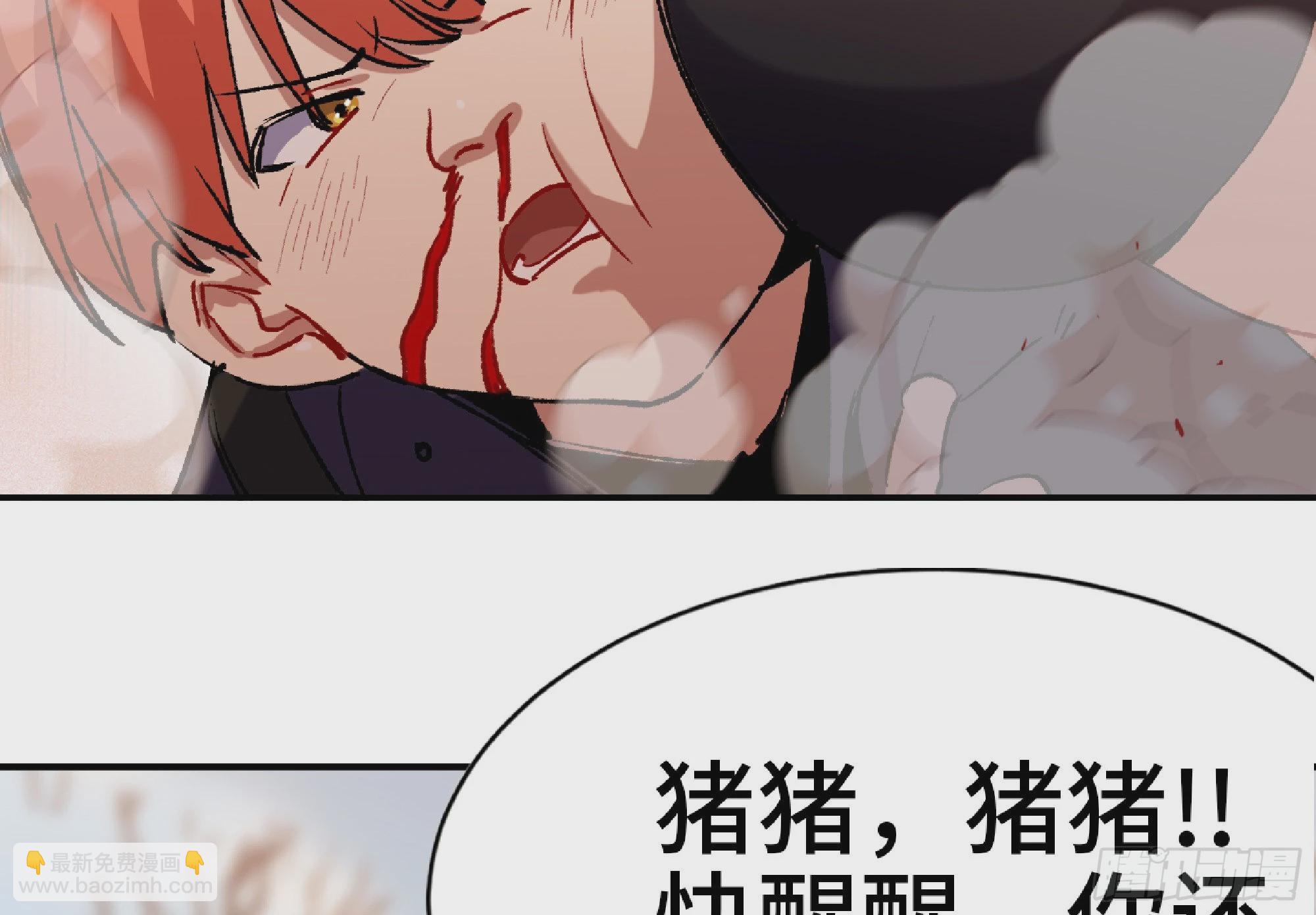 56 猪猪猪猪238