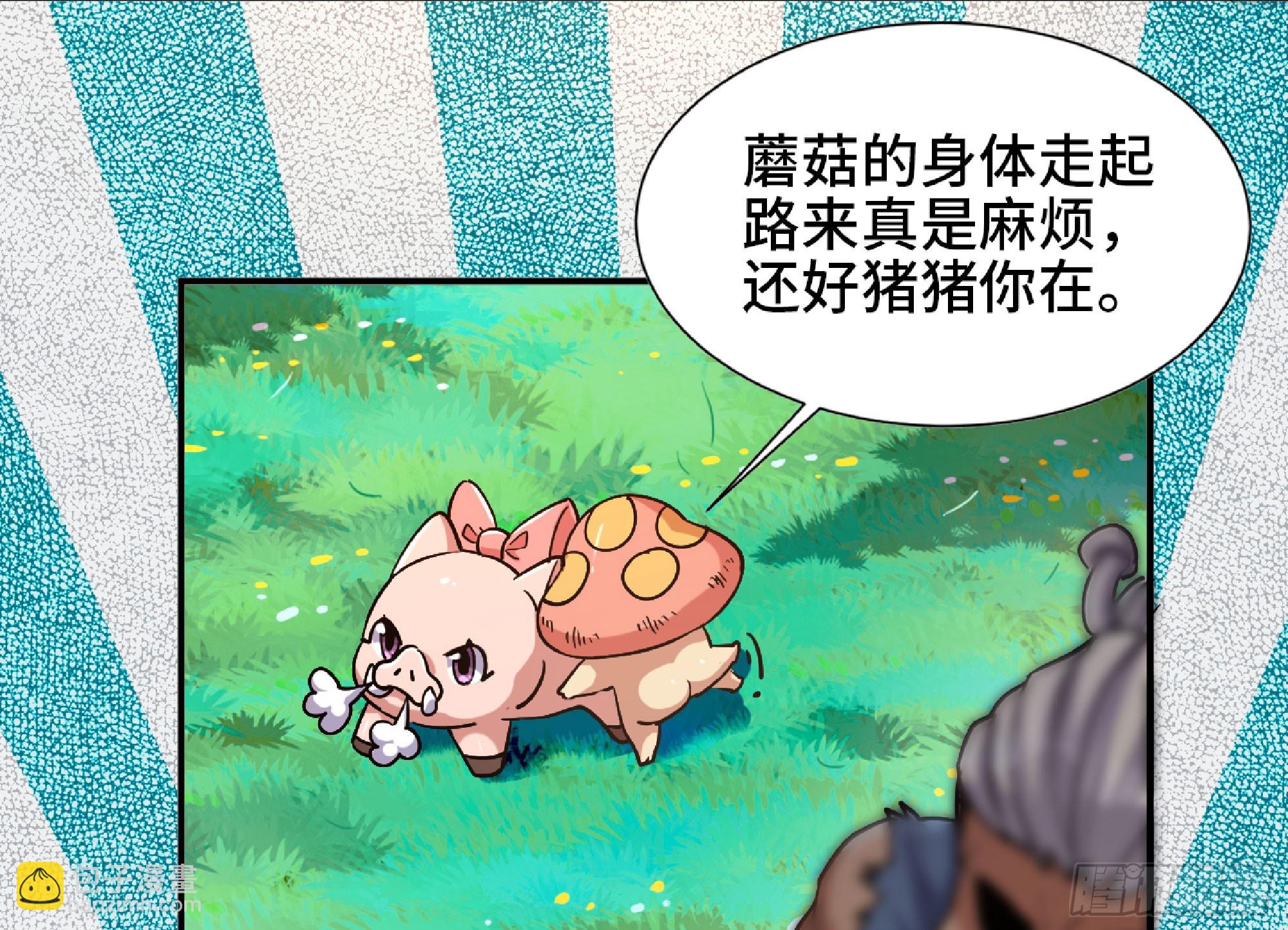 78 修行开始57