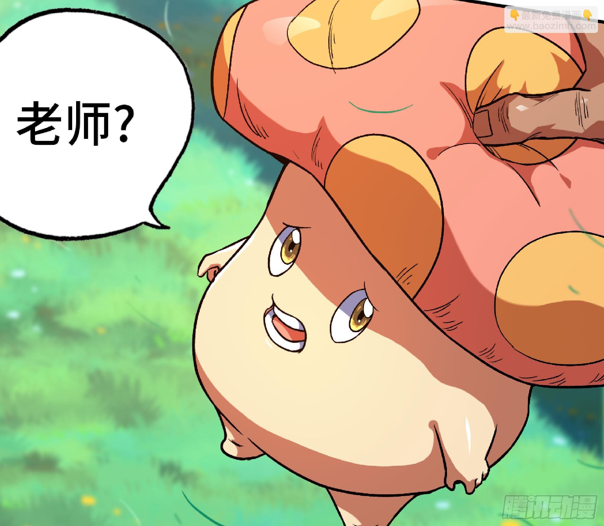 78 修行开始71