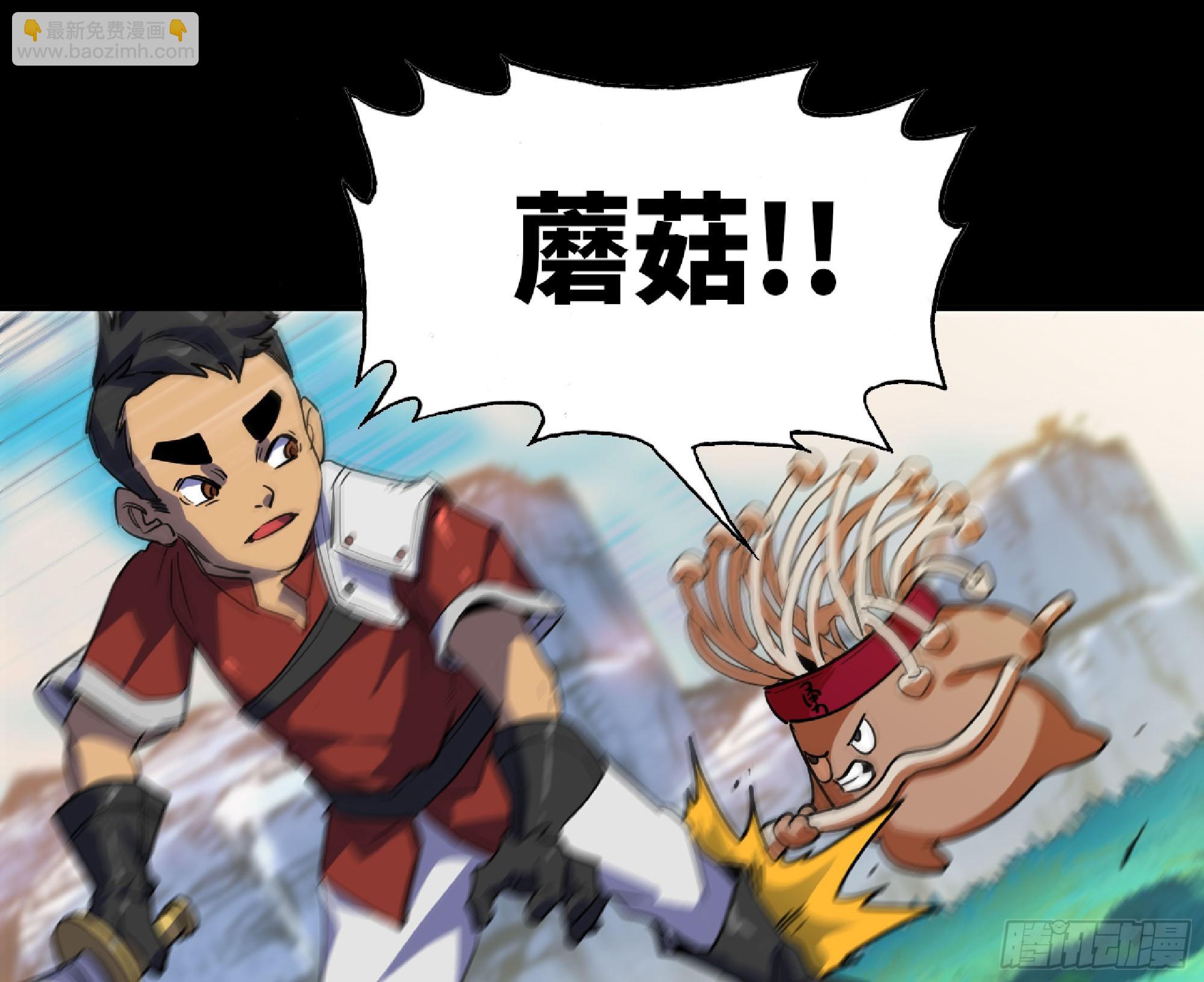 80 计划的酒1
