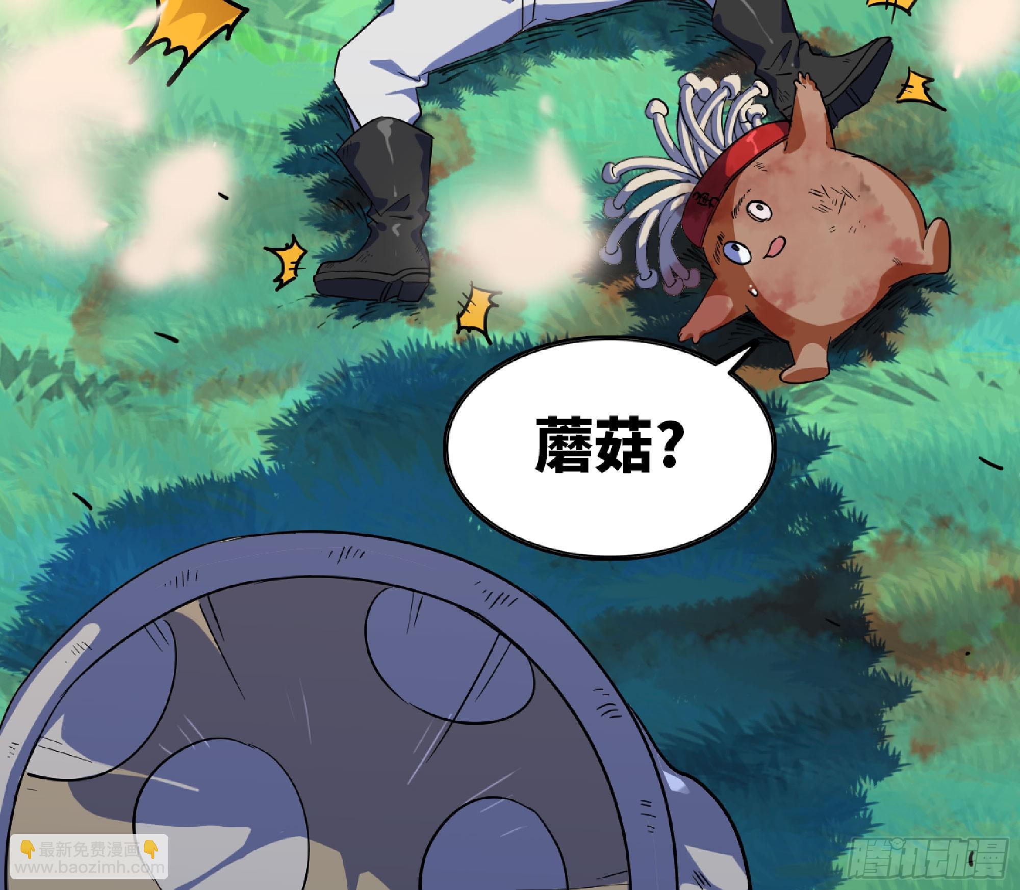 80 计划的酒22
