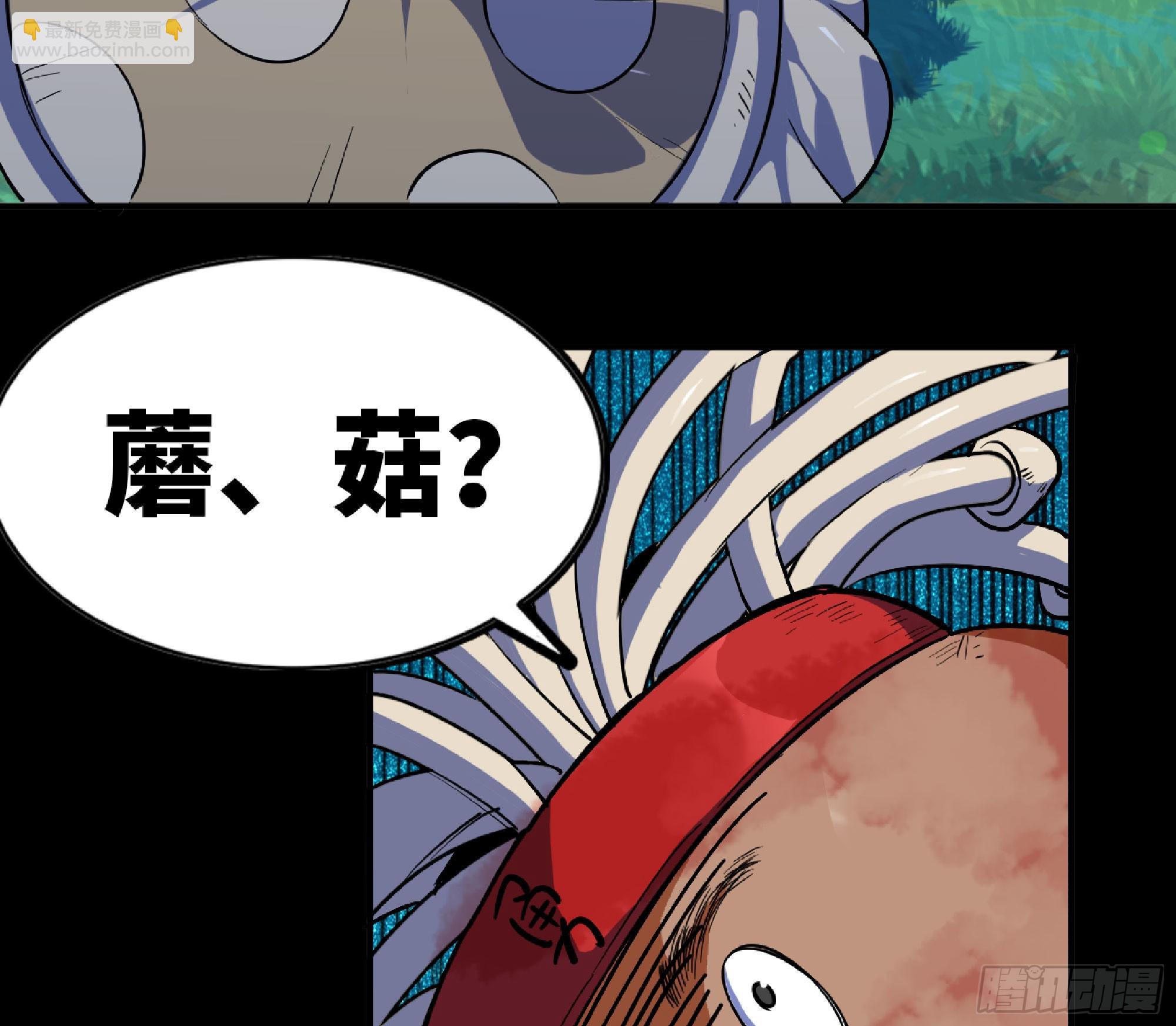 80 计划的酒23