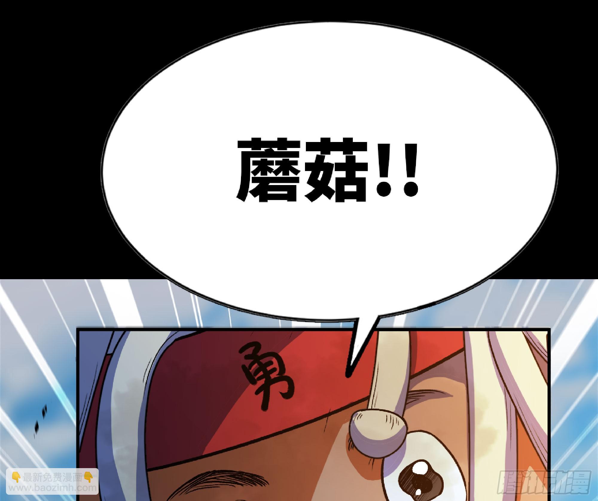 80 计划的酒33