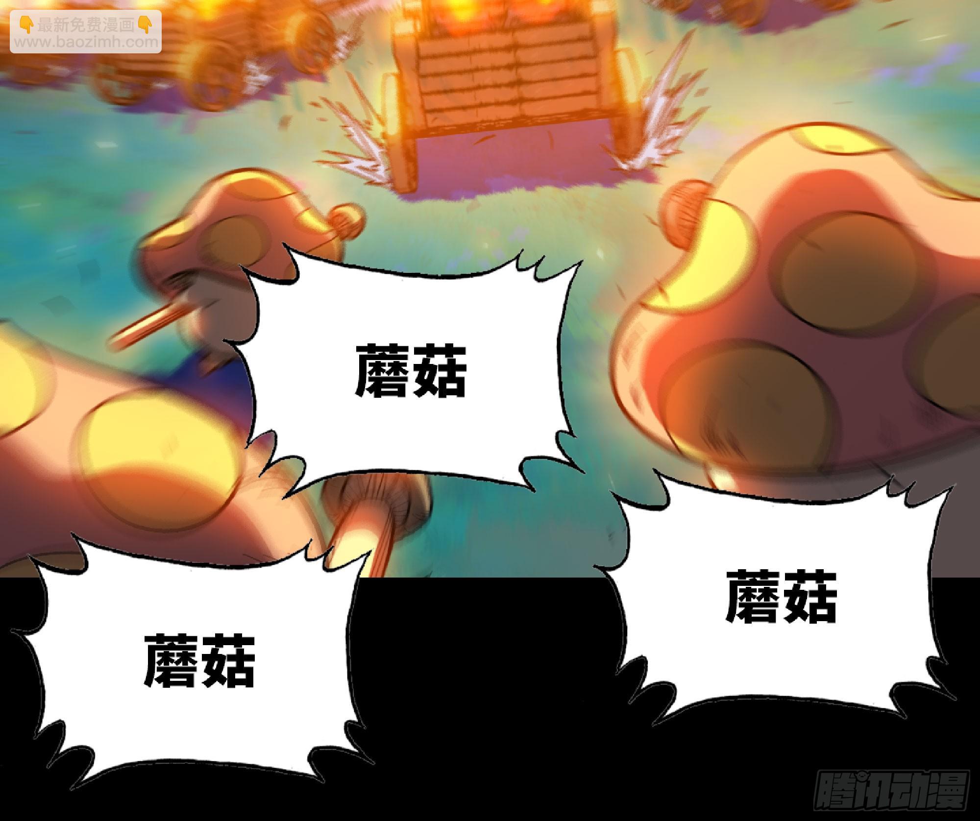80 计划的酒52