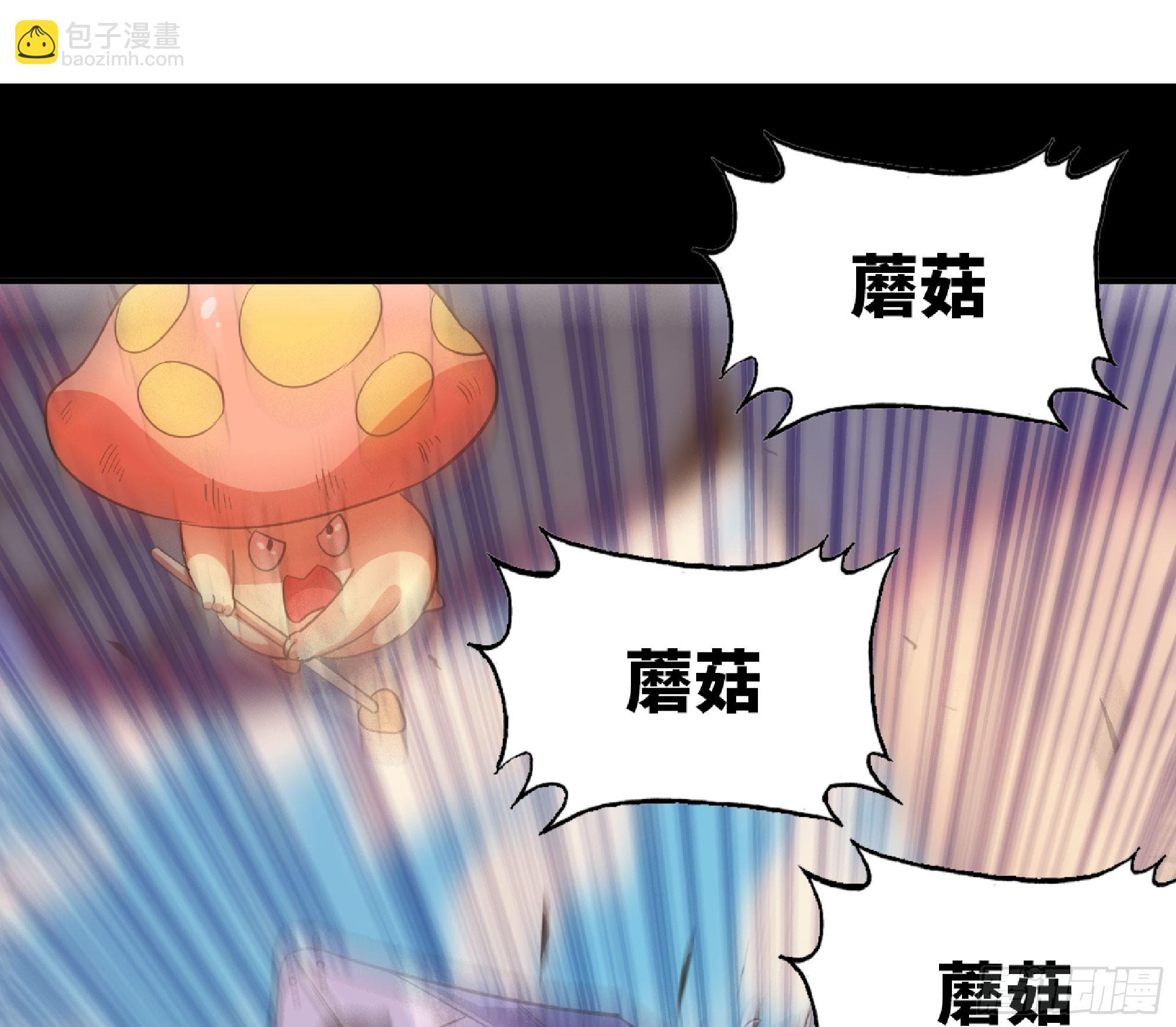 80 计划的酒69
