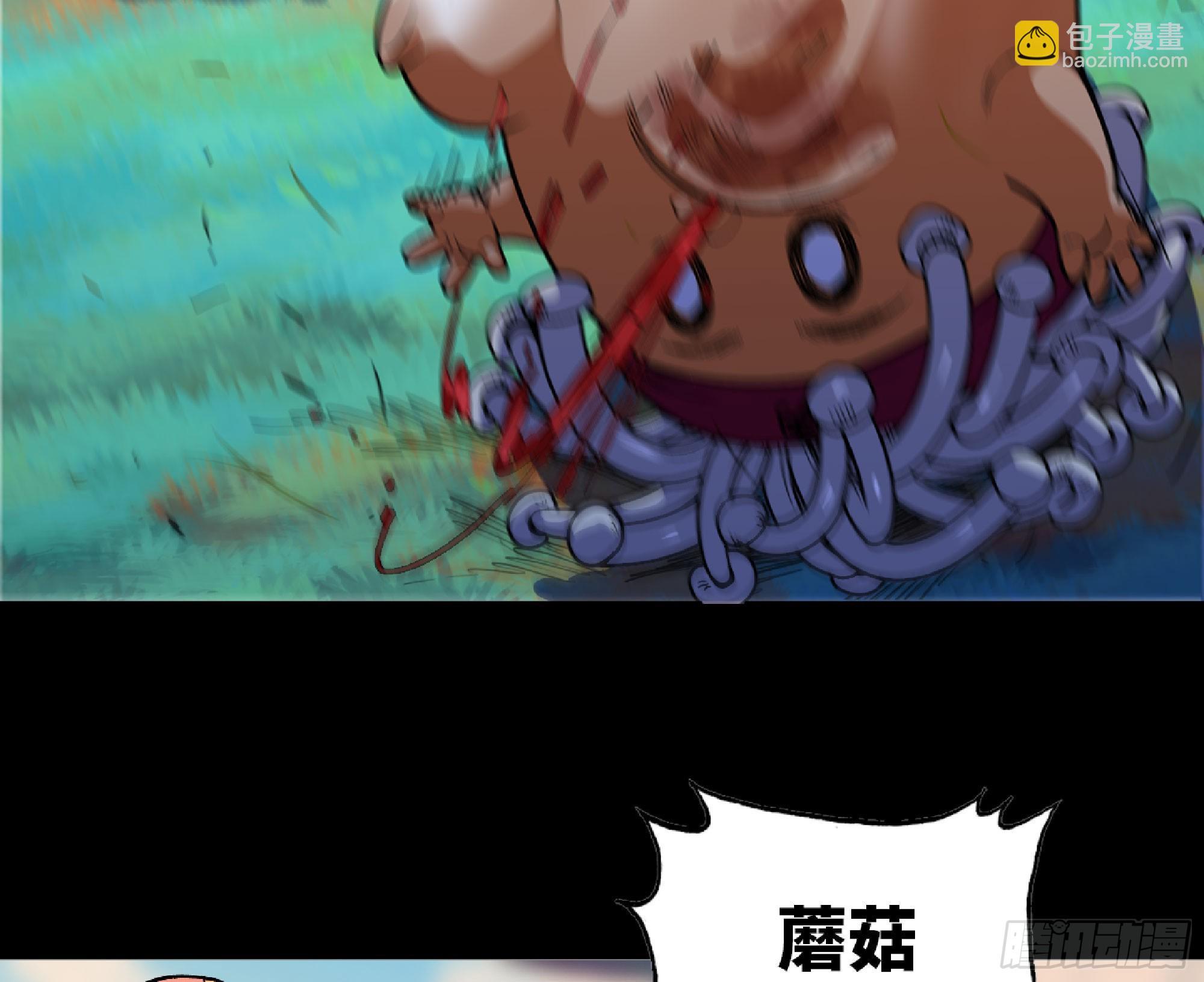 80 计划的酒7
