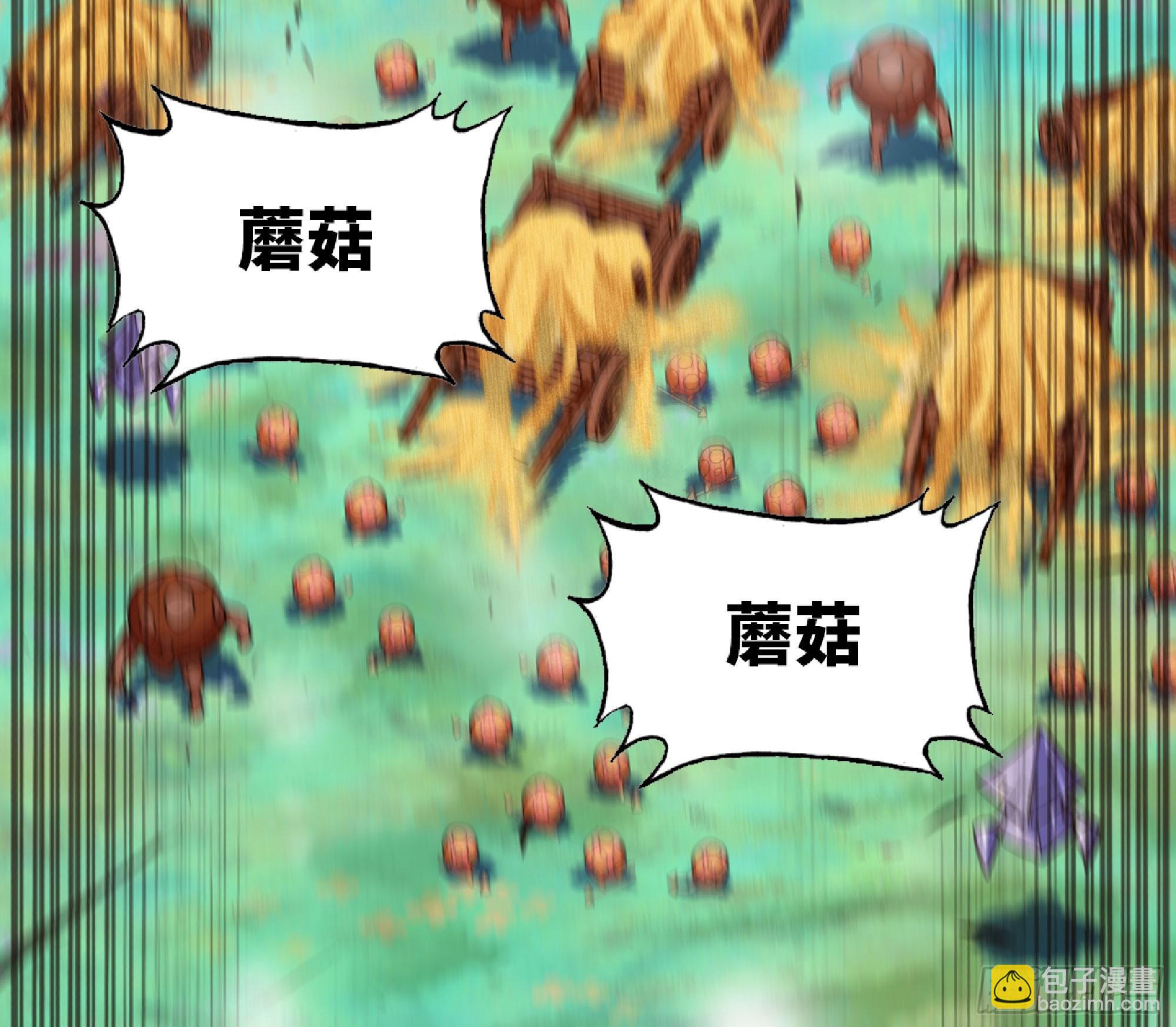 80 计划的酒74