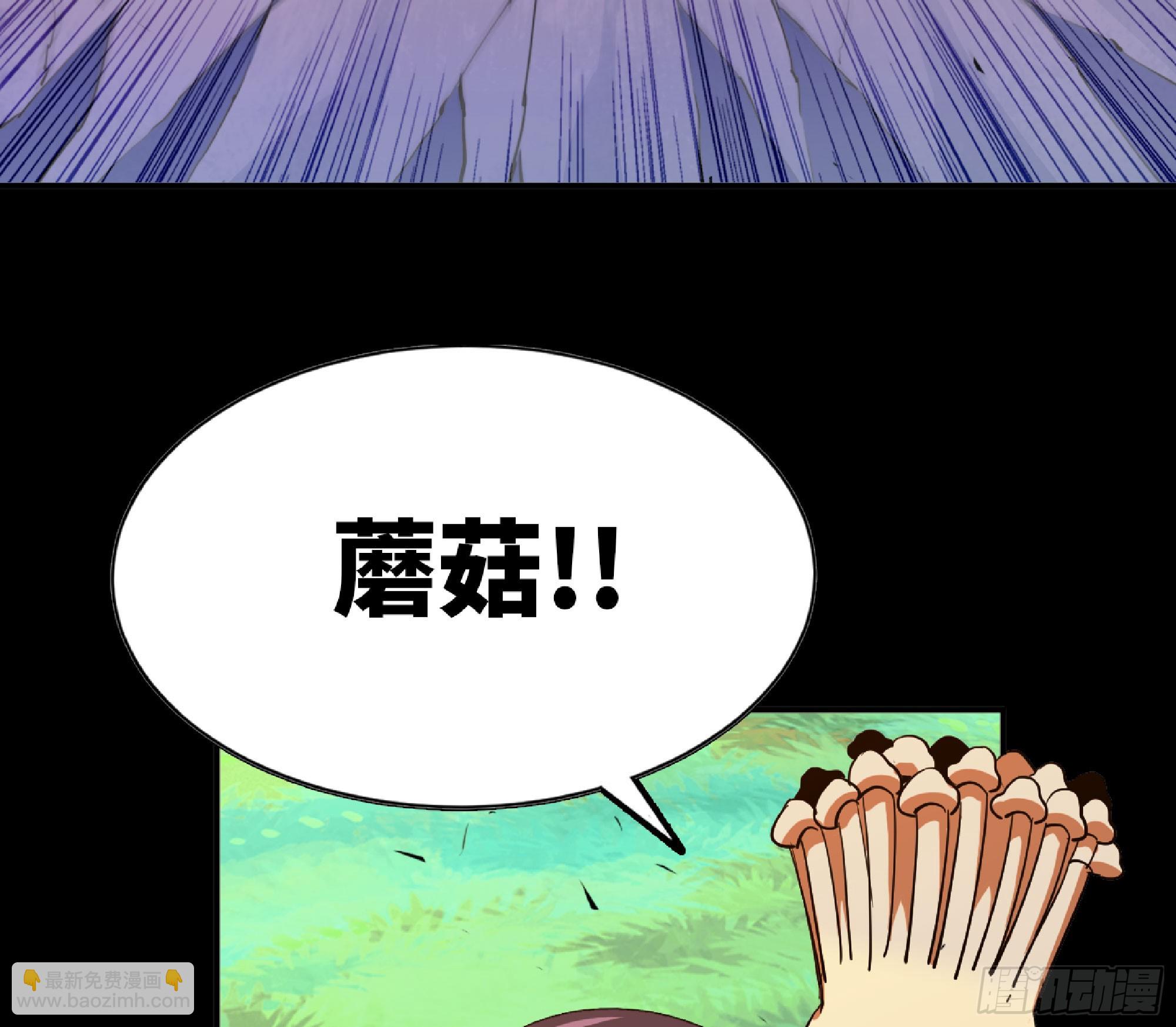 80 计划的酒79
