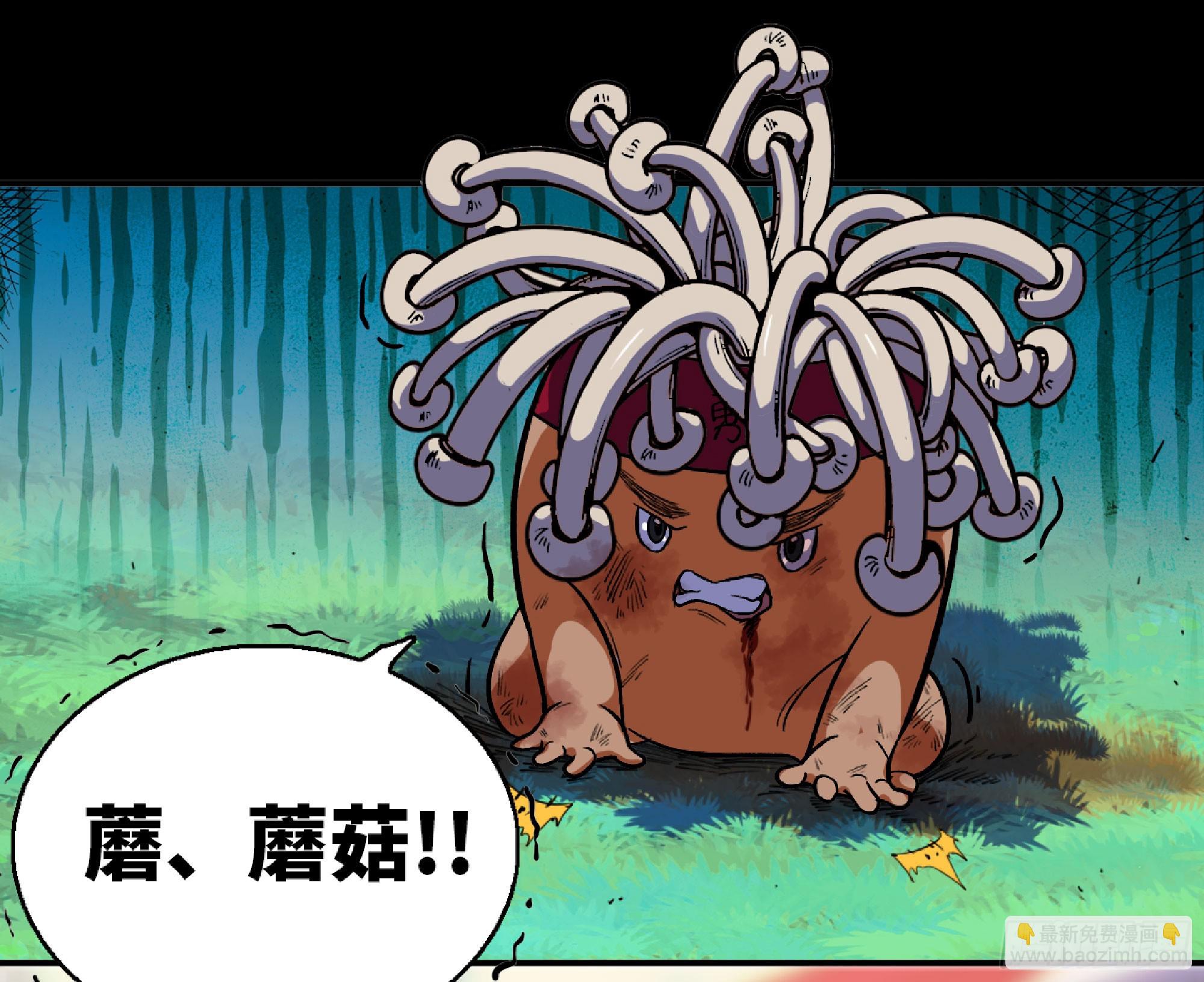 80 计划的酒9