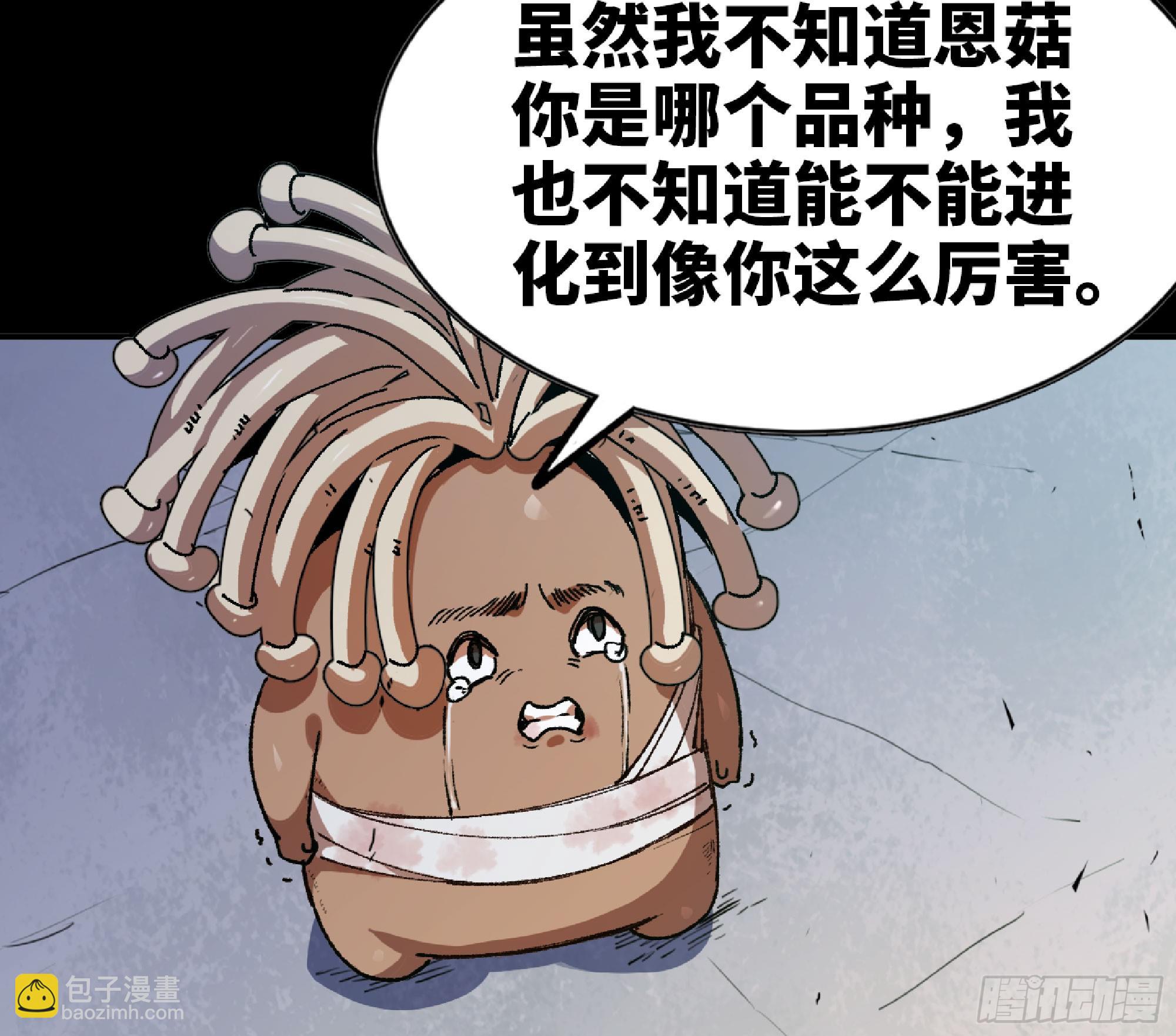 82 隐藏的过去19