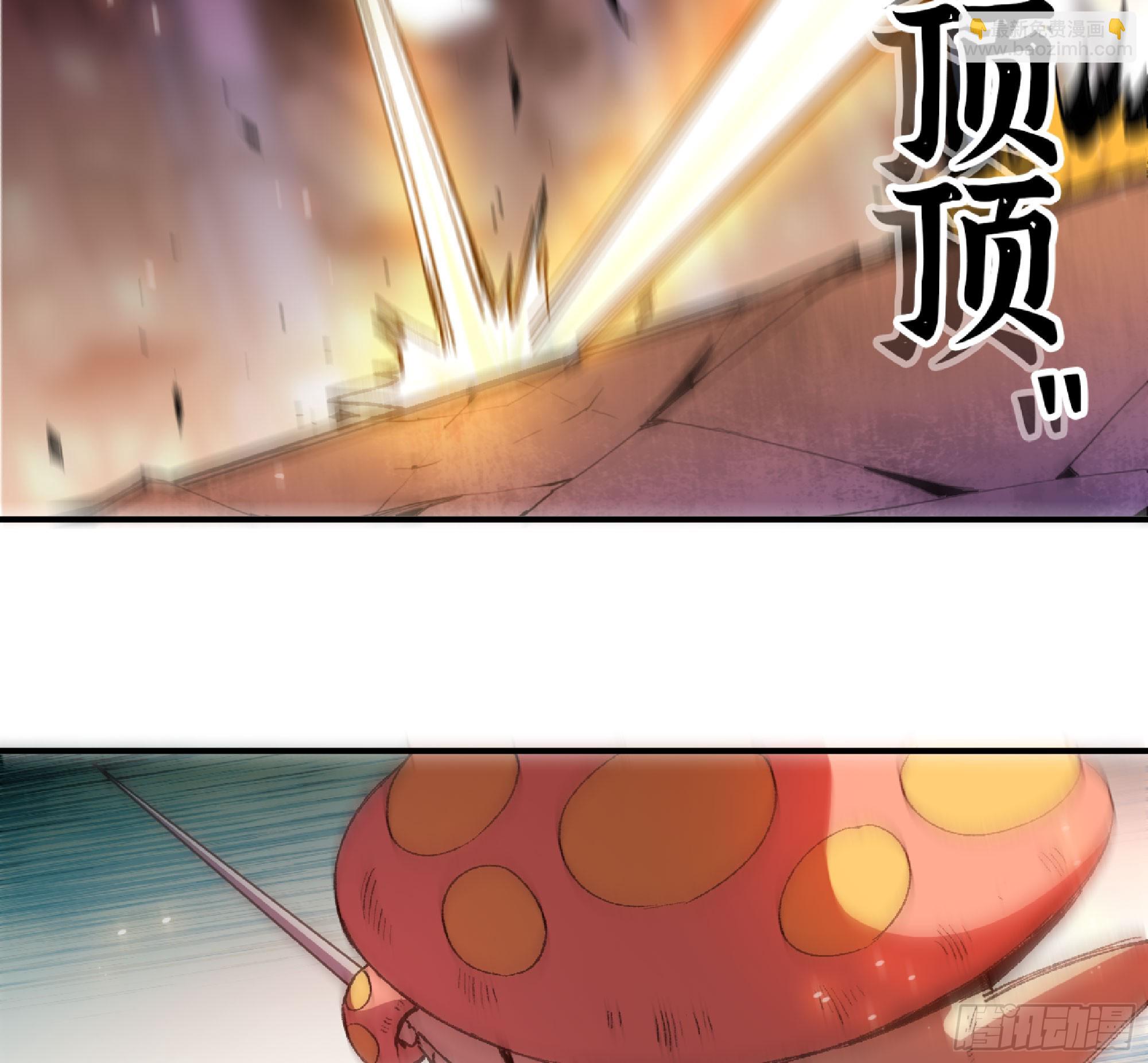 93 菇猪出击73