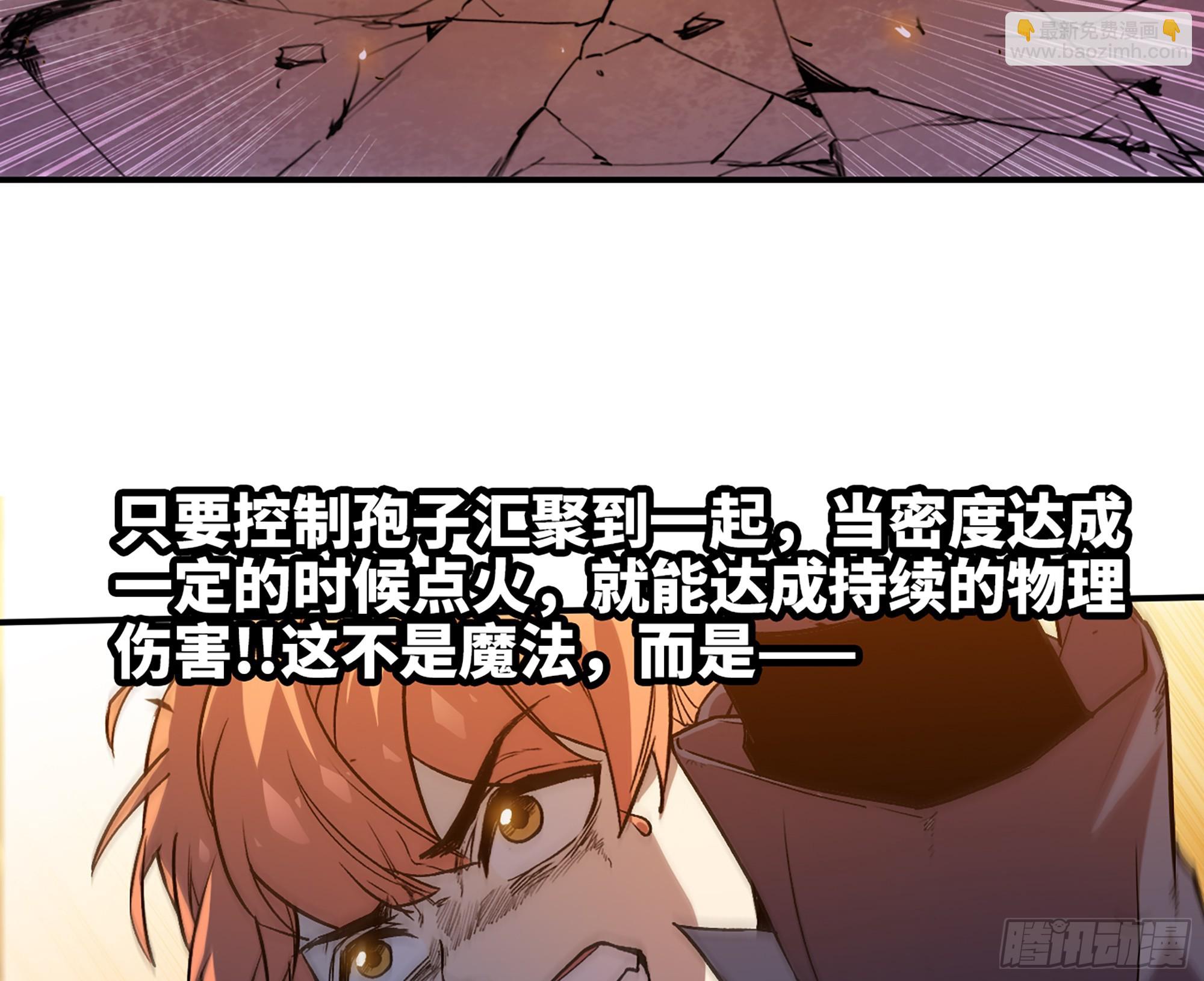 95 物理攻击97