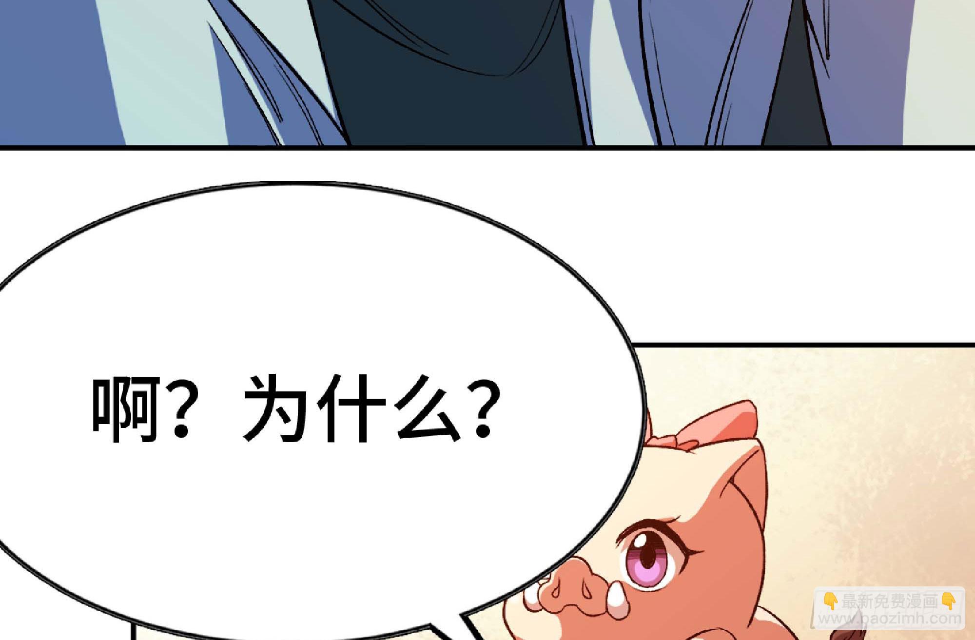 96 解散了81