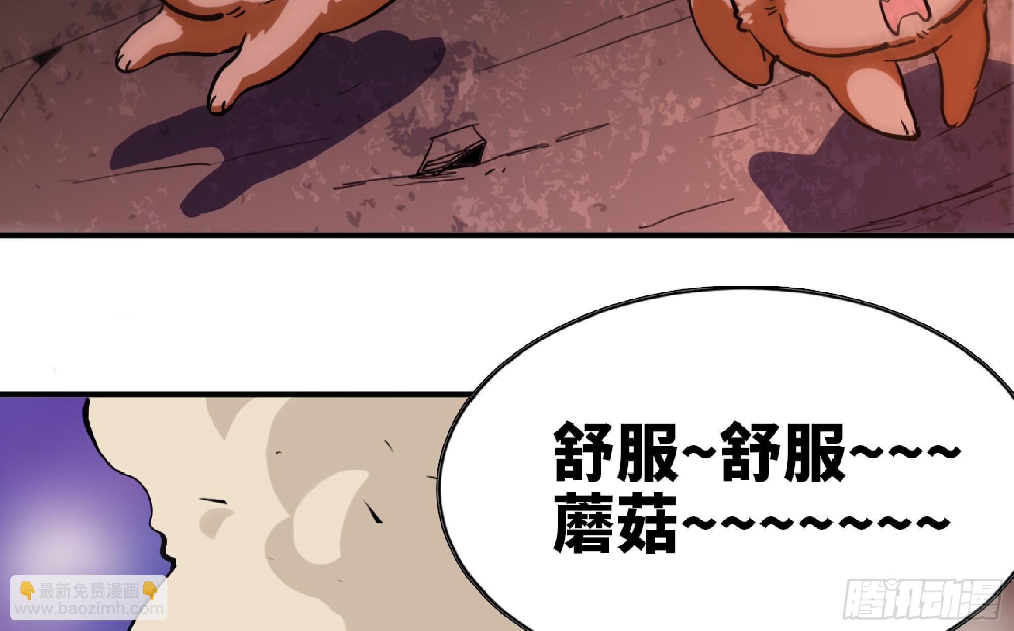 98 脉搏火山55