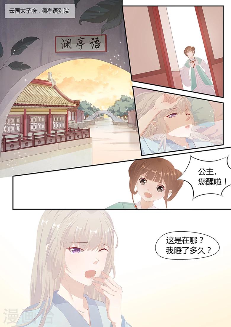 第19话 太子妃跑了1