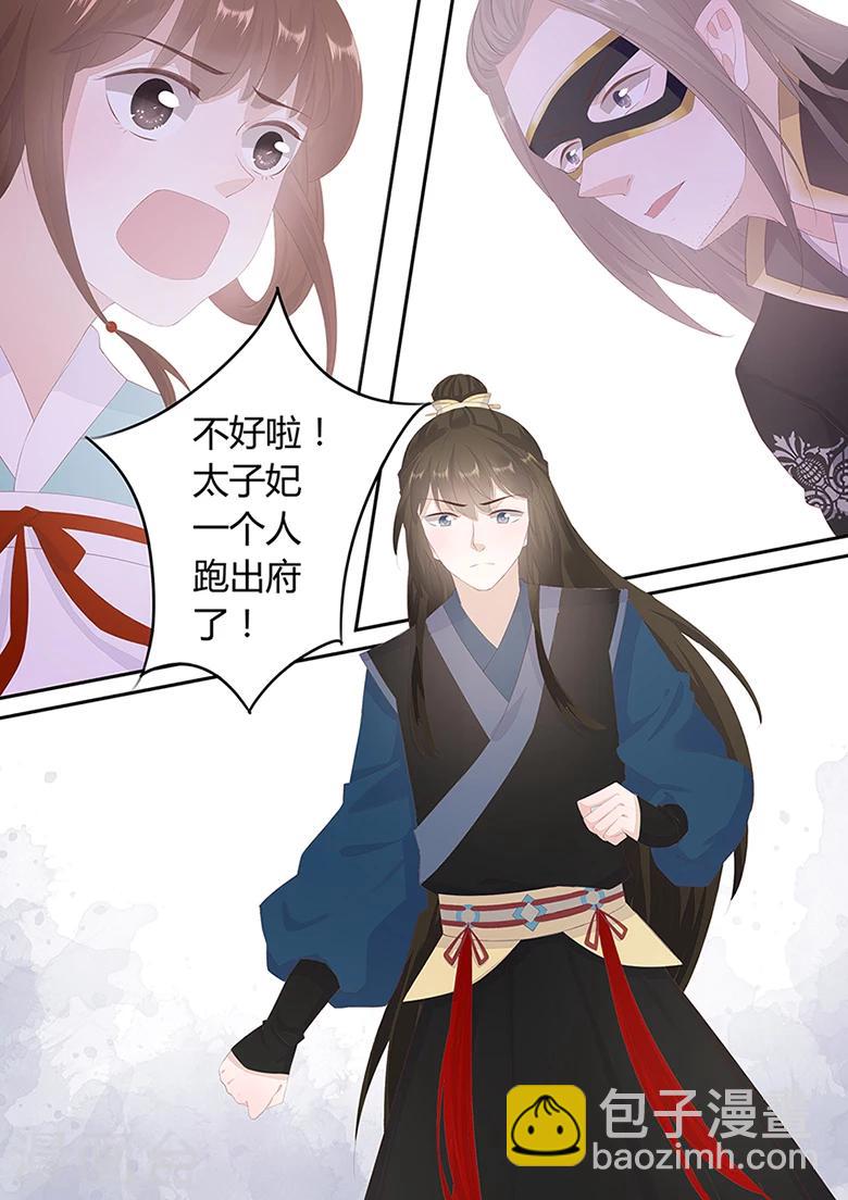 第19话 太子妃跑了9